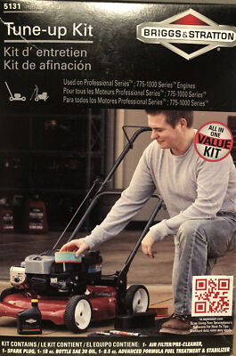 Small Engine Lawn Mower No Spark Briggs Stratton EX Series Engines Briggs Stratton