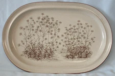 Noritake Desert Flowers 8341 14" Oval Platter