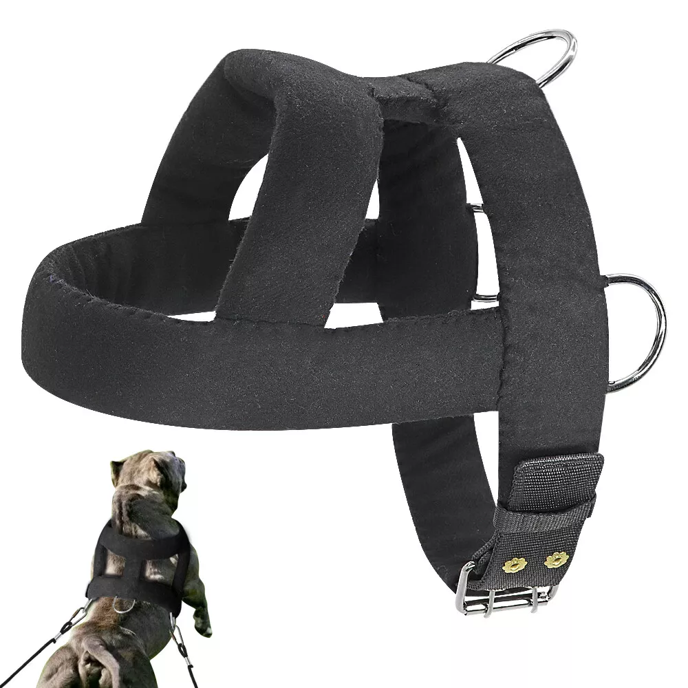 Training harness for dogs that pull 2025