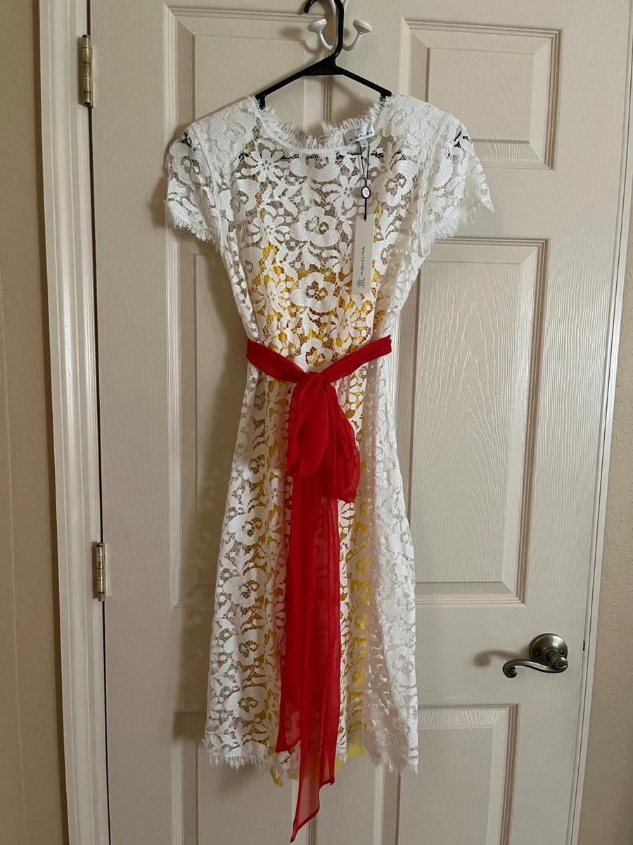 chinese dress ladies Brielle Falcon Embroidery Mini Dress