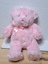 Baby Gund My First Teddy Bear Pink 9" Plush Stuffed Animal Baby Toy