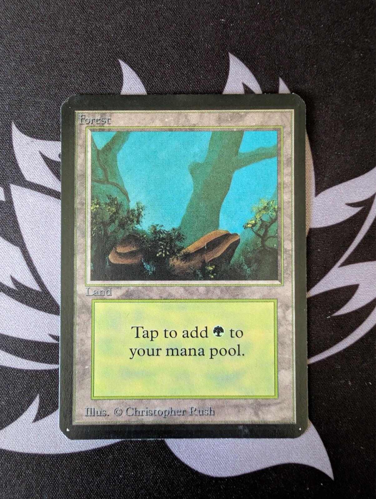 Forest (A)(Rocks) ~ Alpha [Near Mint][Magic MTG]