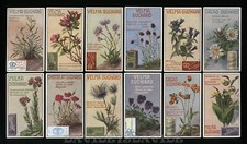 FIGURINE SUCHARD - SERIE N° 194 - FIORI ALPINI