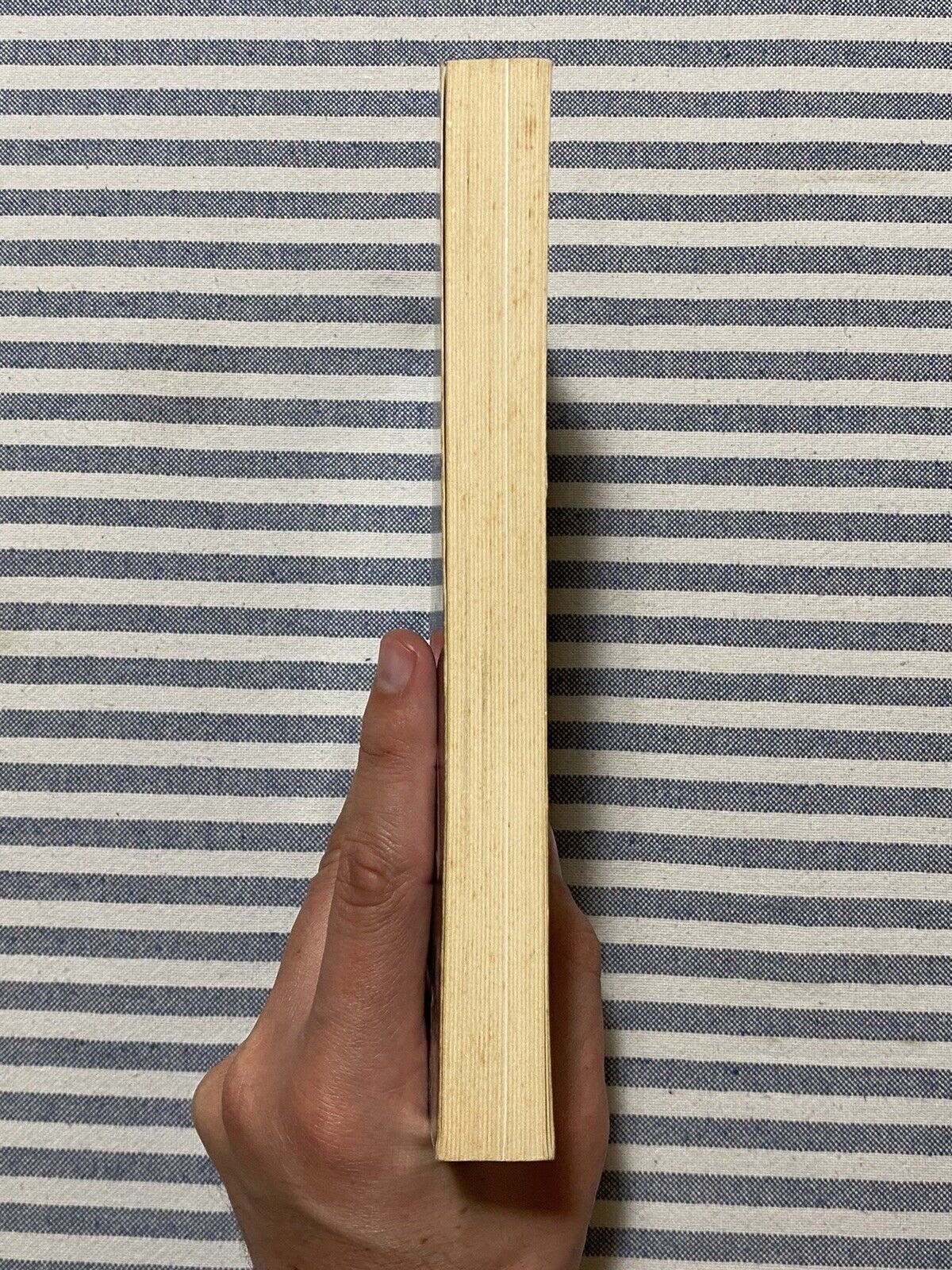 Foto 4 di 10