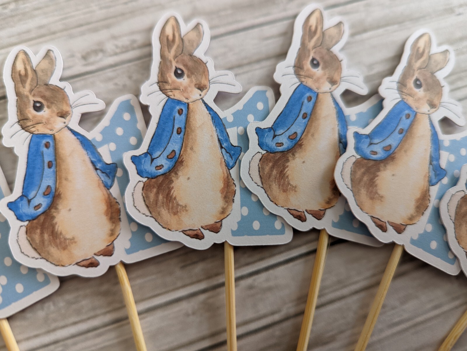 Peter rabbit cupcake toppers Beatrix potter 1st birthday light blue set