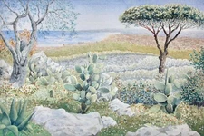 Motif from Catania, Sicily, landscape with cacti watercolor signed "I. Röder"