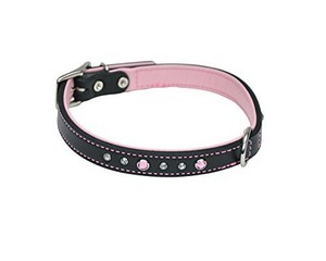 circle t leather collar