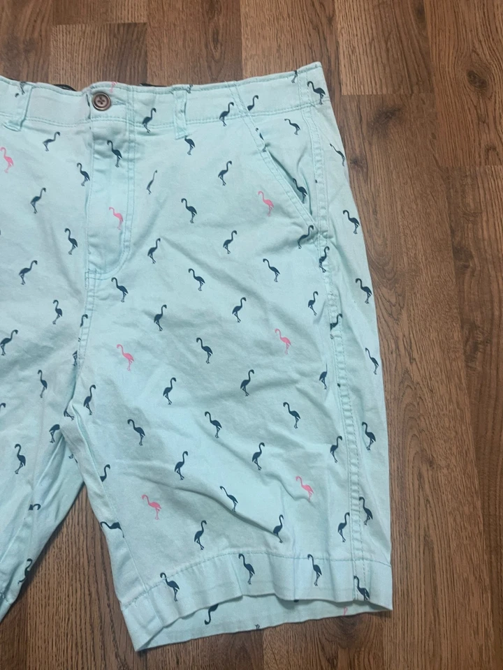 Pantalones Cortos Flex Plugg, Para Hombre Talla 32, Azul Rosa, Flamenco, Frente Plano Foto 4 de 4