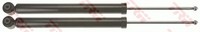 2X StoßDäMpfer Trw Twin JGT1216T FüR 3008 Peugeot 39Mm 1 GroßRaumlimousine 120