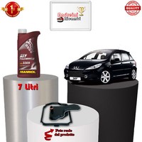 Set Filter Austausch Automatisch Und ÖL Peugeot 307 2.0 16V 103KW 140CV 2009->