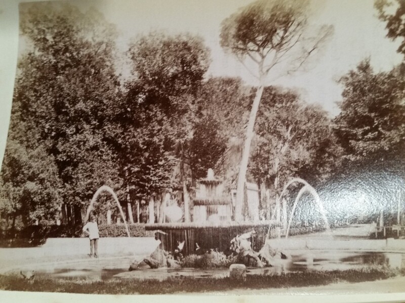 Picture 10 of 12