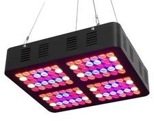 600W LED Grow Light 2X2FT Coverage Double Switch Full Spectrum Grow Lamp Plants