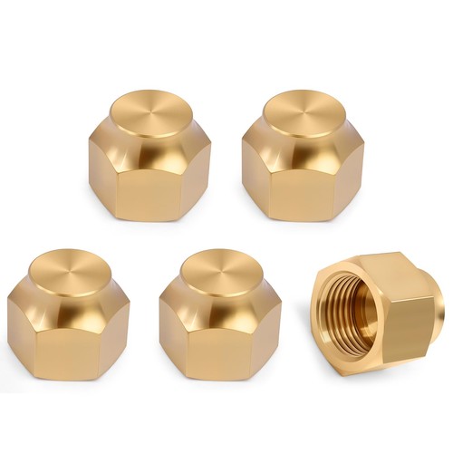 5 Pcs 3/8 In Brass Flare Cap SAE 45 Degree Female Tube Fitting Seal Plug Box