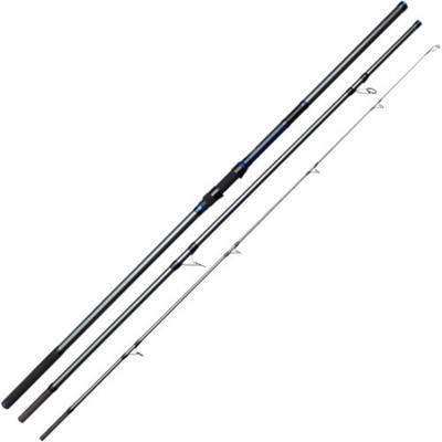 DAM Imax Brandungsrute 13' 100-250g