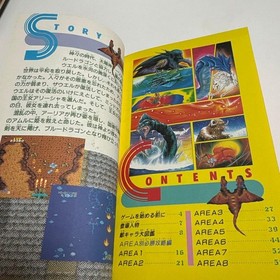 Dragon Spirit PC Engine 1989 Winning Strategy Guide Rare Vintage Game
