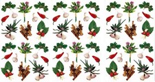 Mrs Grossman's Herbs and Spices Garlic HOT Pepper Scrapbook Stickers 3 Sheets