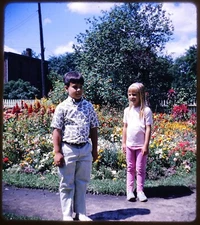 Children in the garden - 1966 Stereo Realist Slide Kodachrome #520