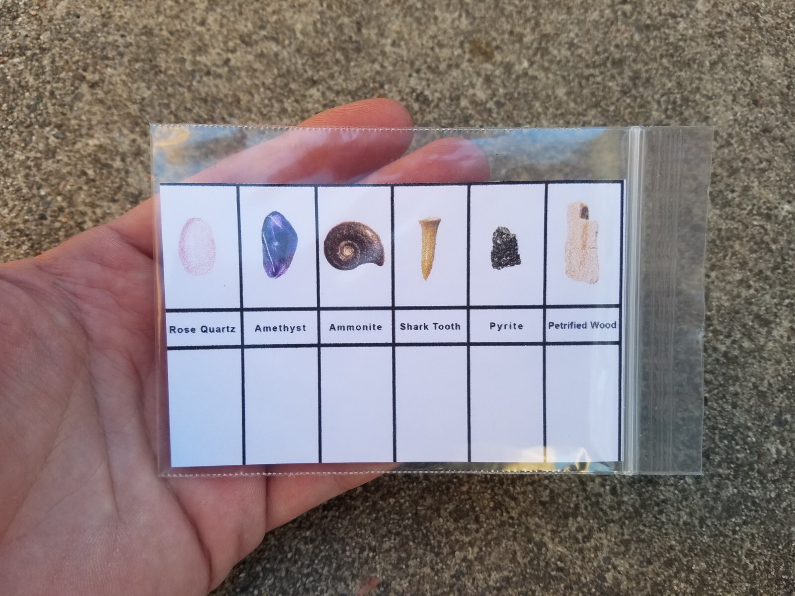 Fossil Finders Grab Bag SMALL lot of 3 shark tooth mineral collecting dig kit eBay