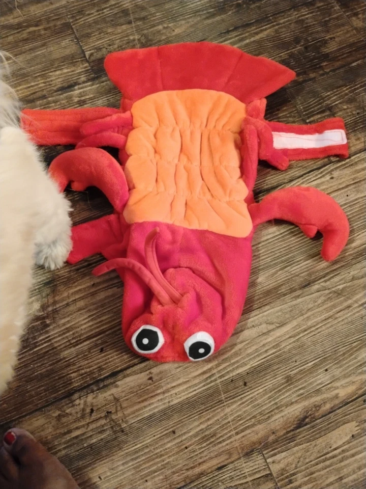 Casual Canine Lobster Dog Outfit Costume Sz M - Image 4 of 4
