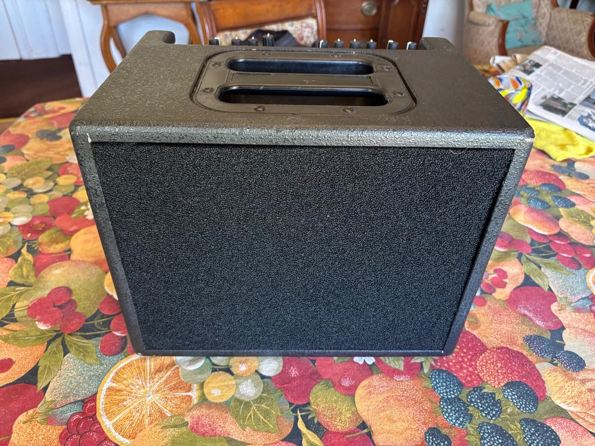 AER 2 Combo Guitar Amplifiers for sale | eBay