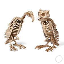 1 Pcs Vulture & Owl Skeleton Halloween Decoration Buzzard Bird Props 2025