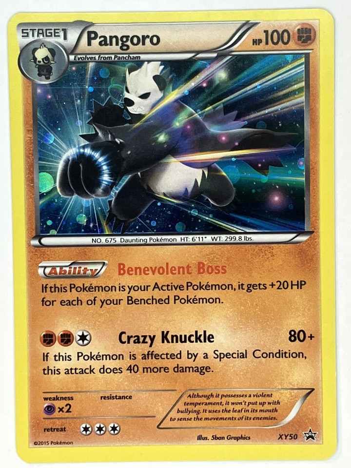 Pangoro XY50 XY for sale | eBay