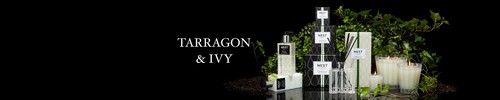 NEST New York Fragrances Reed Diffuser- Tarragon & Ivy, 5.9 fl oz, New - Picture 4 of 5