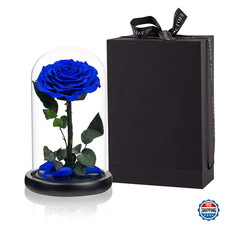 Preserved Roses Handmade Rose in Glass Dome, Preserved Flowers Never Withered Ro