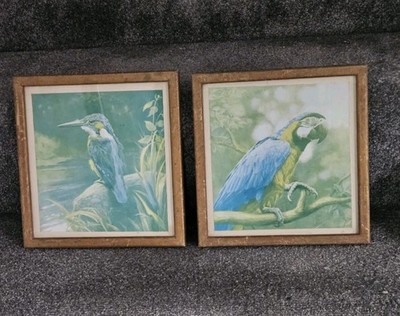 Paar alte Vogeldrucke montiert & glasiert Eisvogel & Ara blau grüne Farbtöne