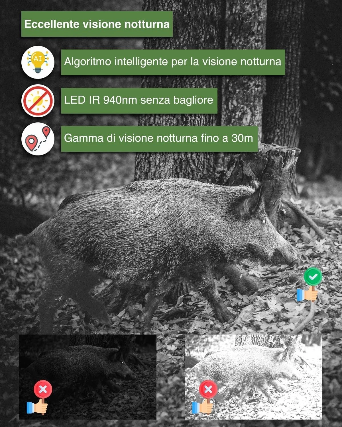 Foto 8 di 9