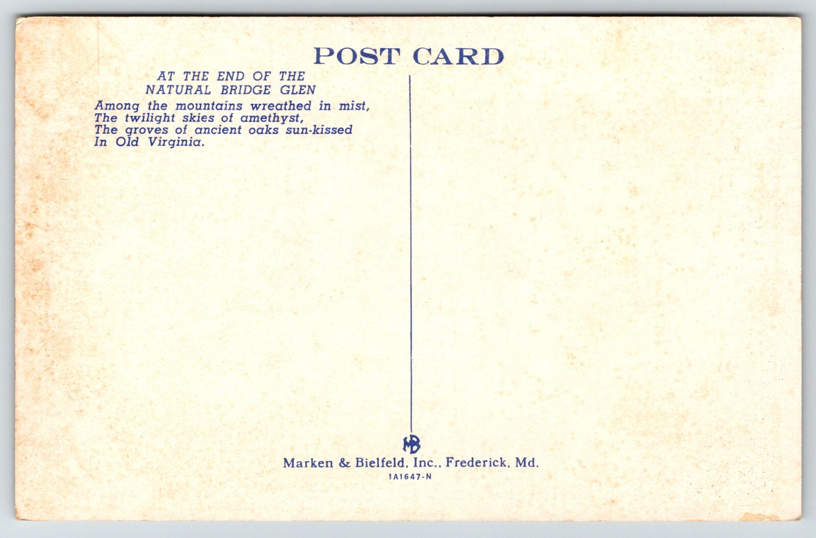 Lace Water Falls Natural Bridge Virginia VA Vintage Postcard eBay