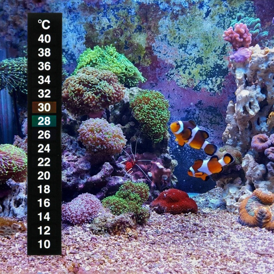 1040 Celsius Degree Digital Temperature Sticker Black for Fish Tank