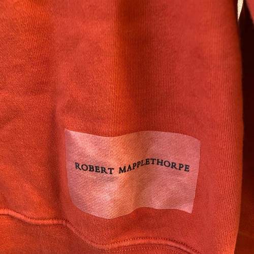 Rare Zara Robert Mapplethorpe orange Hoodie - Picture 5 of 6