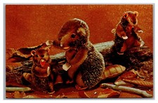 Advertising Postcard Steiff Plush Zoo Favorites Nagy Busy Beaver c1960s I26