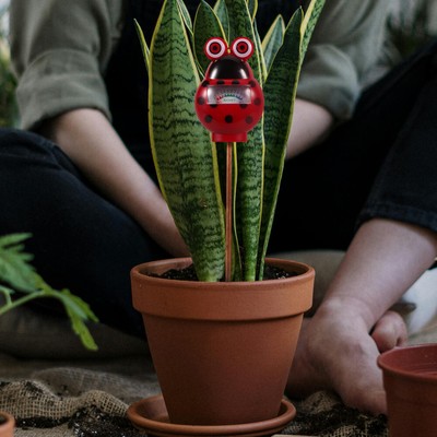  Testset Für Gartenerde Bodenfeuchtigkeitsmesser Pflanzenfeuchtigkeitsdetektor