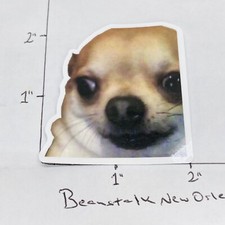 NEW  Chihuahua Funny Humor Meme Sticker Decal Laptop Skateboard   w/ Tracking  