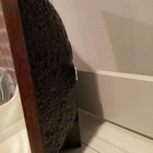 Picture 3 of 5