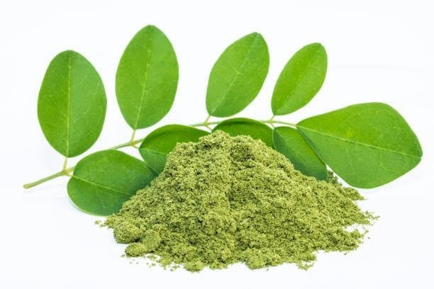 Organic Moringa Powder | Pure Leaf Superfood | Vegan | Pure & Natural Superfood
