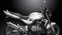 Kawasaki ER5 1996-2007 Delkevic Ovaler EndschalldäMpfer Inox 450 Mm Delk