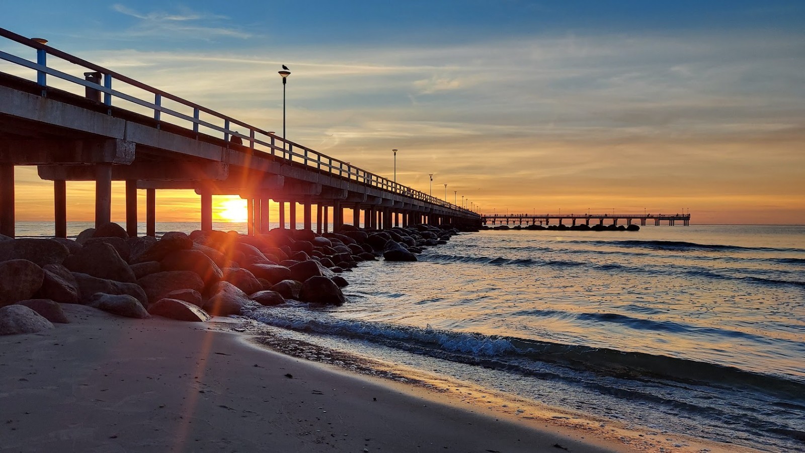 Raw Honey Lithuanian Baltic Amber Necklace 🐝 11.5" 🐝 Lab Certified