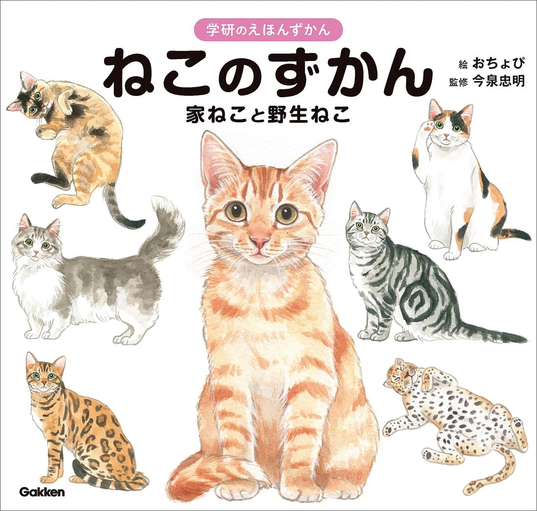レノックス猫 Princess Kitty ( 大きなサイズ ) 【公式通販】