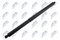 NTY Gasfeder, Koffer-/Laderaum AE-FR-077 FüR Ford