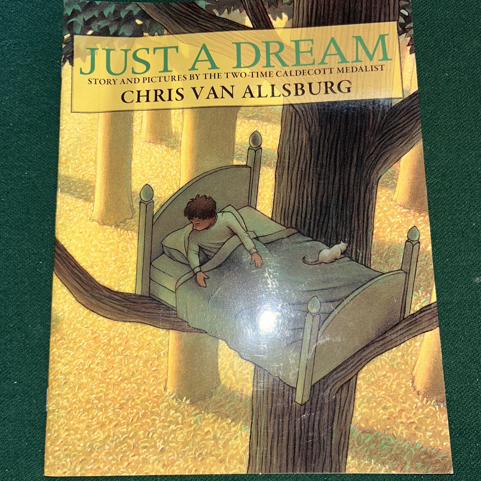 Just a Dream by Chris Van Allsburg (CENGAGE National Geographic) 550L | eBay