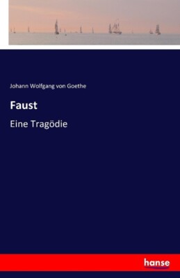 Faust | Buch | 9783741115547