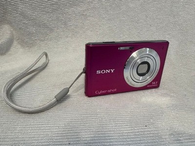 Sony Cyber-shot DSC-W550 14.1MP Digital Camera - Silver for sale