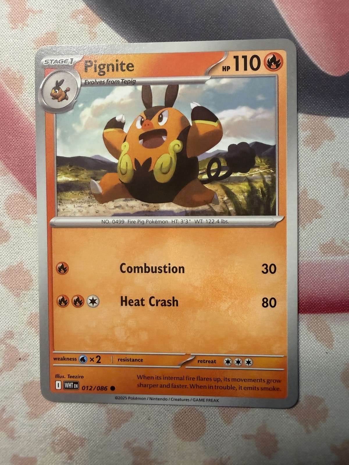 Pignite Common SV: White Flare 012/086 NM English Pokemon Card