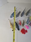 Foto 10 di 14
