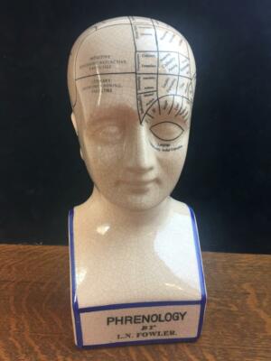 THE PHRENOLOGY オブジェ　サイズ L Phrenology Head Statue Map of Brain Porcelain Sculpture