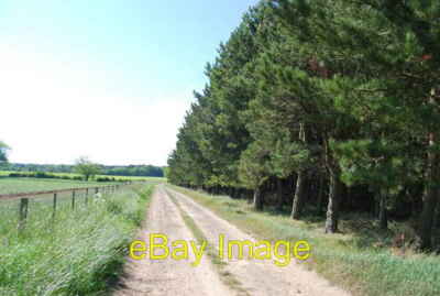 Photo 6x4 Bridleway leading from Brunton Covert Tughall  c2011