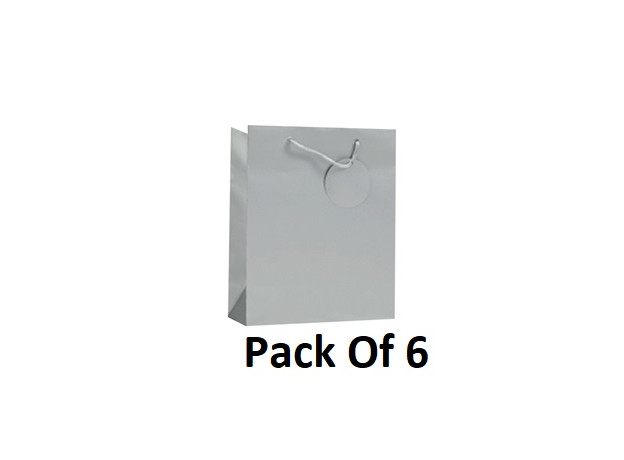 Simon Elvin Finishing Touch Single Colour Small Gift Bags - Silver (Pack of 6)